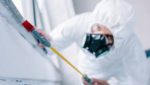 Best Termite Inspection and Treatment  in Rome City, IN